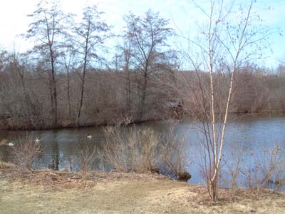 Gallup Park - Ann Arbor, MI
