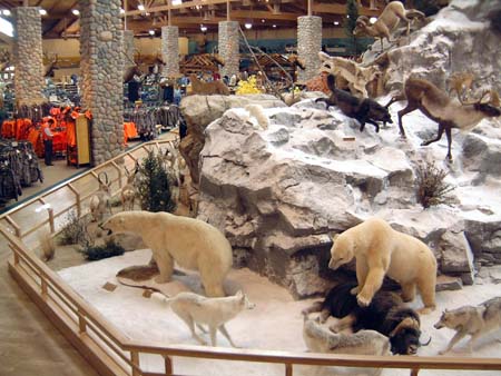Cabelas Dundee Mi