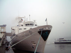 Black Prince in Antwerp