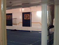 Darts/Badminton