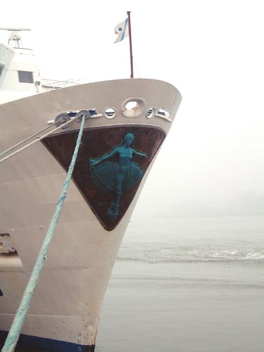 Bow of Black Prince