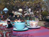 Teacups