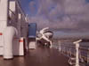 Sun Deck Starboard