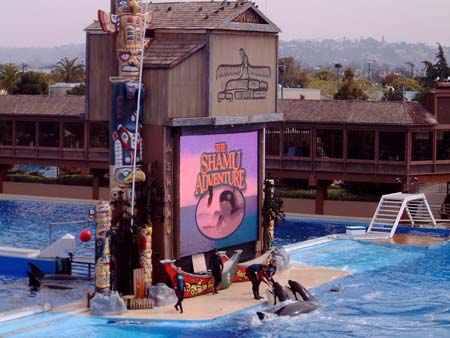 Sea World San Diego - Shamu Adventure
