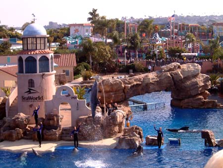Sea World San Diego - Dolphin Discovery
