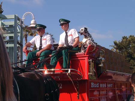 Sea World San Diego - Budweiser Dray
