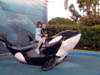 Beverley & Howard on Shamu