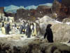 Penguins