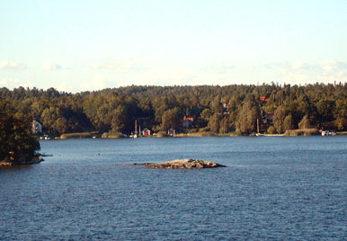 in the harbour