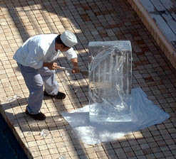 Marcello's Ice Carving - Angel Fish from a 300lb block of ice