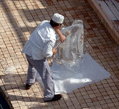 Marcello's Ice Carving - Angel Fish from a 300lb block of ice.