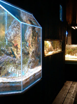 Aquarium