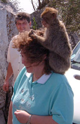 Pam having a Massage from an Ape