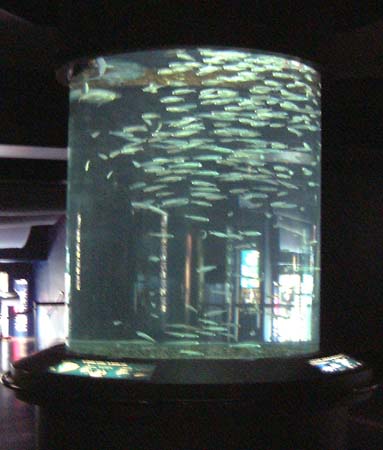 Inside Oc&eacute;anopolis
