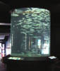 Inside Oc&eacute;anopolis