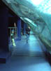 The Tropical Pavilion.