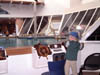 Radio Controlled Boats in the Central Area.