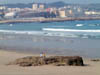 280302shamptonlacoruna014