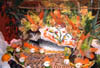 Grand Gala Buffet