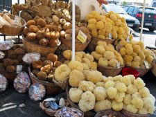 Sponges For Sale in Rhodes