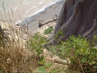 John E Pearce Provincial Park, Ontario - On the shores of Lake Erie