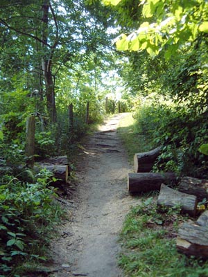 John E Pearce Provincial Park, Ontario - On the shores of Lake Erie
