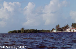 Our First View of Belize City
[On arriving by Tender]