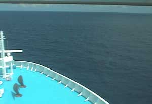 The Cam was 'stuck' on this view from Fri 11 Oct until Tues 15 Oct:(