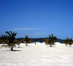 Las Palmas Beach, Roat&aacute;n
