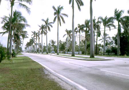 Street?
&nbsp;Ft. Lauderdale