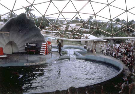 Miami Sea Aquarium - Porpoise
