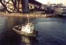 Passing under Sydney Harbour Bridge