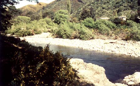 Countryside Nr Wellington