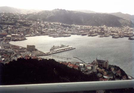 View from Mount Victoria Lookout [SS Southern Cross]