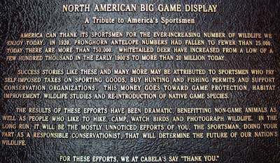 A tribute to America's sportsmen
