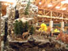 Deer/Goats on the mountain