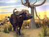 Cabela's - African Wildlife Diorama
