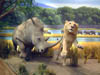 Rhinoceros/Lion